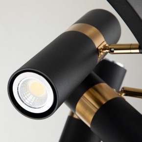 Подвесная люстра Favourite Light point 2997-9P в Тюмени - tumen.mebel24.online | фото 5