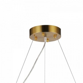 Подвесная люстра Favourite Magnitudo 2206-12P в Тюмени - tumen.mebel24.online | фото 7
