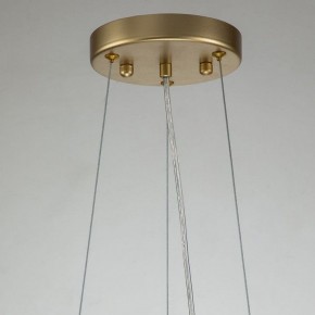 Подвесная люстра Favourite Rays 4058-14P в Тюмени - tumen.mebel24.online | фото 11