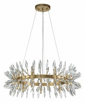 Подвесная люстра Favourite Rays 4058-14P в Тюмени - tumen.mebel24.online | фото 2