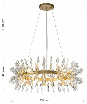 Подвесная люстра Favourite Rays 4058-14P в Тюмени - tumen.mebel24.online | фото 7