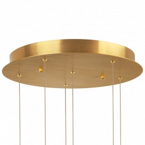 Подвесная люстра Lightstar Colore 805169 в Тюмени - tumen.mebel24.online | фото 6