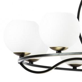 Подвесная люстра Lightstar Enna 762117 в Тюмени - tumen.mebel24.online | фото 4
