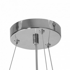 Подвесная люстра Lightstar Extra 721384 в Тюмени - tumen.mebel24.online | фото 4