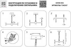 Подвесная люстра Lightstar Iris 734247 в Тюмени - tumen.mebel24.online | фото 4