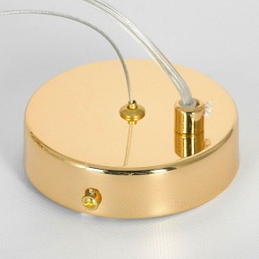 Подвесная люстра Lussole Davie LSP-8778 в Тюмени - tumen.mebel24.online | фото 5