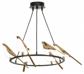 Подвесная люстра Lussole Jasper LSP-8641 в Тюмени - tumen.mebel24.online | фото 2