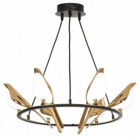 Подвесная люстра Lussole Jasper LSP-8641 в Тюмени - tumen.mebel24.online | фото 4