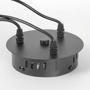 Подвесная люстра Lussole Jasper LSP-8641 в Тюмени - tumen.mebel24.online | фото 7