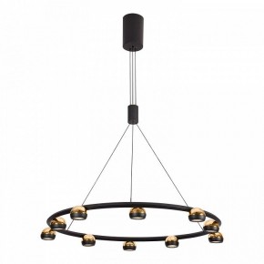 Подвесная люстра Lussole Lassen LSP-7253 в Тюмени - tumen.mebel24.online | фото 2