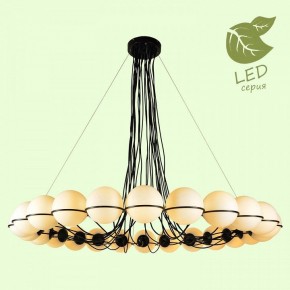 Подвесная люстра Lussole Seneca GRLSP-8176 в Тюмени - tumen.mebel24.online | фото 3