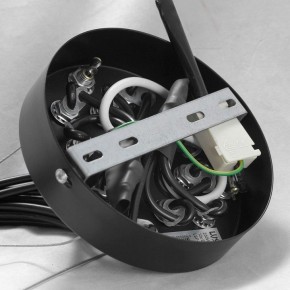 Подвесная люстра Lussole Seneca GRLSP-8177 в Тюмени - tumen.mebel24.online | фото 10