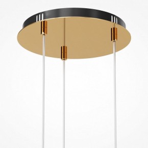 Подвесная люстра Maytoni Drop MOD273PL-L33G3K в Тюмени - tumen.mebel24.online | фото 6