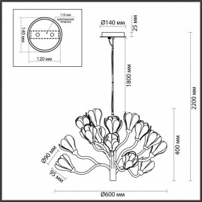 Подвесная люстра Odeon Light Gardi 5090/15 в Тюмени - tumen.mebel24.online | фото 6