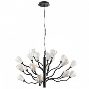 Подвесная люстра Odeon Light Gardi 5090/18 в Тюмени - tumen.mebel24.online | фото 3