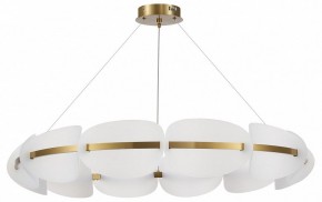 Подвесная люстра ST-Luce Etoile SL1304.203.65 в Тюмени - tumen.mebel24.online | фото 3