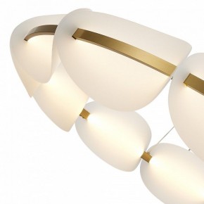 Подвесная люстра ST-Luce Etoile SL1304.203.65 в Тюмени - tumen.mebel24.online | фото 6