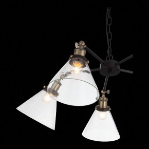 Подвесная люстра ST-Luce Evoluto SL237.413.05 в Тюмени - tumen.mebel24.online | фото 7