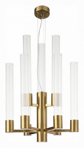 Подвесная люстра ST-Luce Terni SL1229.303.09 в Тюмени - tumen.mebel24.online | фото 3