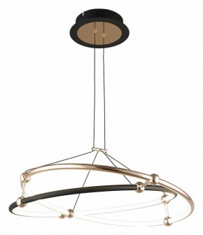 Подвесной светильник Aployt Diana APL.034.03.40 в Тюмени - tumen.mebel24.online | фото 2