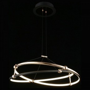 Подвесной светильник Aployt Diana APL.034.03.40 в Тюмени - tumen.mebel24.online | фото 3