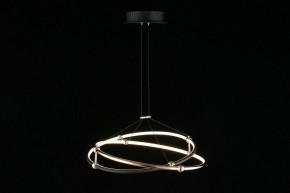 Подвесной светильник Aployt Diana APL.034.03.40 в Тюмени - tumen.mebel24.online | фото 5