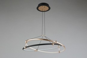 Подвесной светильник Aployt Diana APL.034.03.40 в Тюмени - tumen.mebel24.online | фото 6