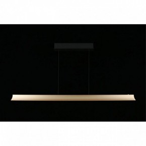 Подвесной светильник Aployt Gercia APL.786.03.38 в Тюмени - tumen.mebel24.online | фото 7