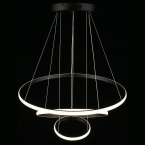 Подвесной светильник Aployt Janina APL.018.03.60 в Тюмени - tumen.mebel24.online | фото 12
