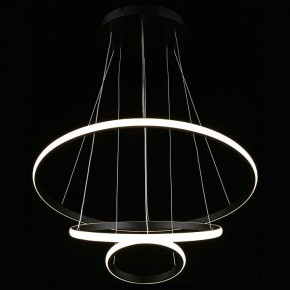 Подвесной светильник Aployt Janina APL.018.03.60 в Тюмени - tumen.mebel24.online | фото 7