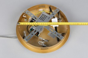 Подвесной светильник Aployt Janina APL.018.13.60 в Тюмени - tumen.mebel24.online | фото 11