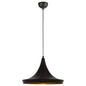 Подвесной светильник Arte Lamp Capello A3406SP-1BK в Тюмени - tumen.mebel24.online | фото 2