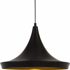 Подвесной светильник Arte Lamp Capello A3406SP-1BK в Тюмени - tumen.mebel24.online | фото 3