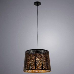 Подвесной светильник Arte Lamp Celesta A2769SP-1BK в Тюмени - tumen.mebel24.online | фото 3