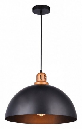 Подвесной светильник Arte Lamp Eurica A4249SP-1BK в Тюмени - tumen.mebel24.online | фото 2