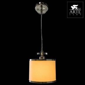Подвесной светильник Arte Lamp Furore A3990SP-1CC в Тюмени - tumen.mebel24.online | фото 3