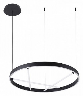 Подвесной светильник Arte Lamp Ricco A1874SP-32BK в Тюмени - tumen.mebel24.online | фото 2