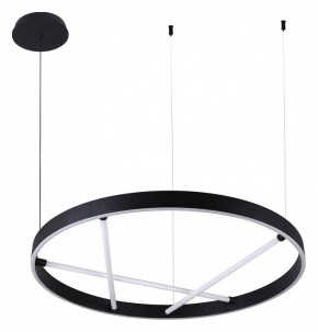Подвесной светильник Arte Lamp Ricco A1874SP-45BK в Тюмени - tumen.mebel24.online | фото 2