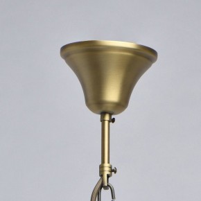 Подвесной светильник Chiaro Оделия 1 619011203 в Тюмени - tumen.mebel24.online | фото 10