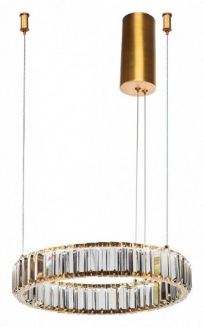 Подвесной светильник Divinare Renata 1135/17 SP-25 в Тюмени - tumen.mebel24.online | фото 2