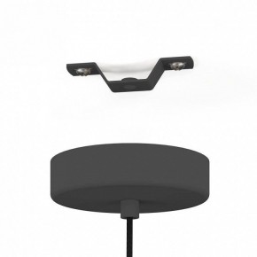 Подвесной светильник Eglo Almerimar 390173 в Тюмени - tumen.mebel24.online | фото 4