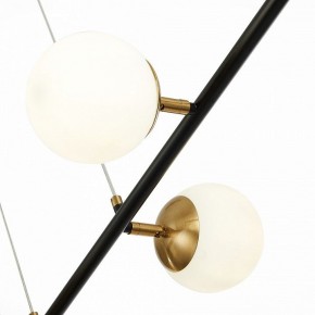 Подвесной светильник EVOLUCE Forli SLE220403-06 в Тюмени - tumen.mebel24.online | фото