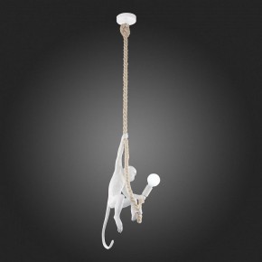 Подвесной светильник EVOLUCE Tenato SLE115103-01 в Тюмени - tumen.mebel24.online | фото 4