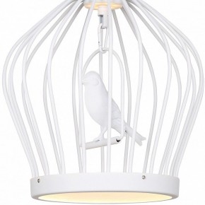 Подвесной светильник Favourite Chick 1931-2P в Тюмени - tumen.mebel24.online | фото 3