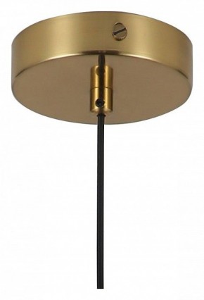 Подвесной светильник Favourite Copita 2777-1P в Тюмени - tumen.mebel24.online | фото 5