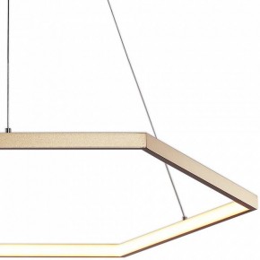 Подвесной светильник Favourite Hexagon 2103-6P в Тюмени - tumen.mebel24.online | фото 3