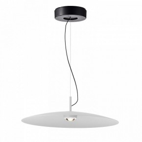 Подвесной светильник Favourite Lars 4410-1P в Тюмени - tumen.mebel24.online | фото 2