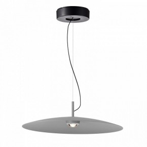 Подвесной светильник Favourite Lars 4412-1P в Тюмени - tumen.mebel24.online | фото 2