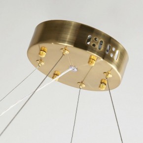 Подвесной светильник Favourite Placerat 4012-10P в Тюмени - tumen.mebel24.online | фото 5