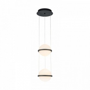 Подвесной светильник Favourite Ringar 4502-2P в Тюмени - tumen.mebel24.online | фото 2